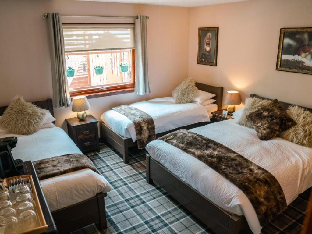 Eriskay B&B and Aviemore Glamping